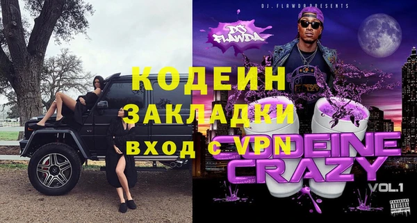 гидра Верхний Тагил