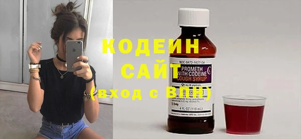 гашик Бородино