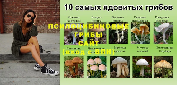 твердый Бугульма