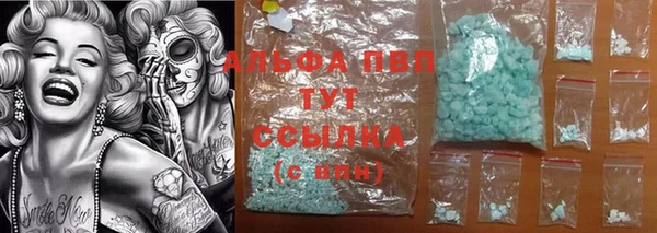 гашик Бородино