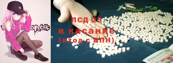 гашик Бородино