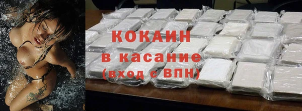 гидра Верхний Тагил