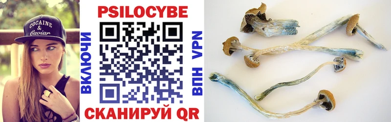 Псилоцибиновые грибы Psilocybe блэк спрут зеркало Карпинск
